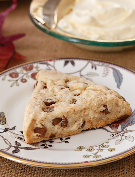 Autumn's Golden Light