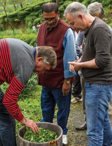 Fairmont Hotels & Resorts' Lot 35 Tea