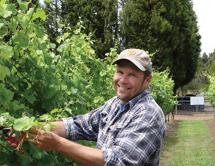 The Tea People of Hawaii