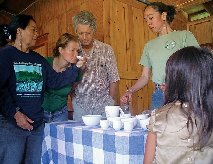 The Tea People of Hawaii