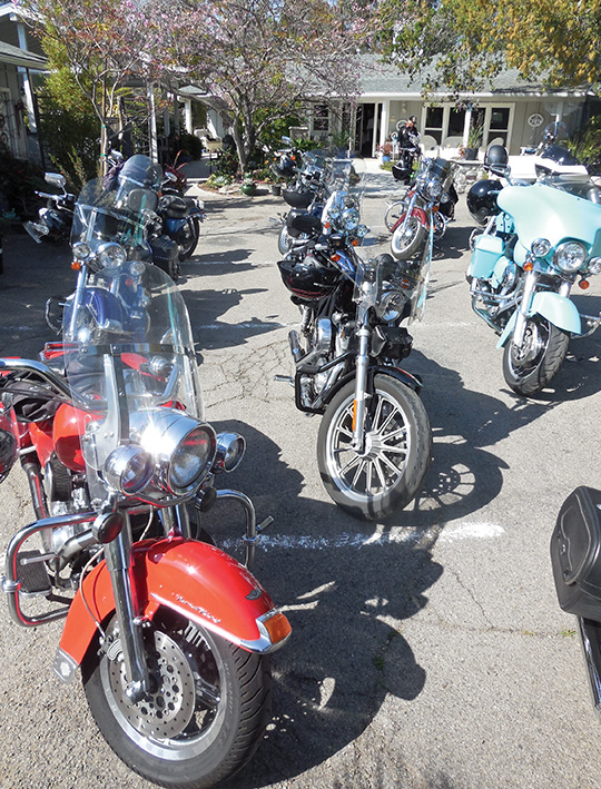Hop on a Harley to Tea