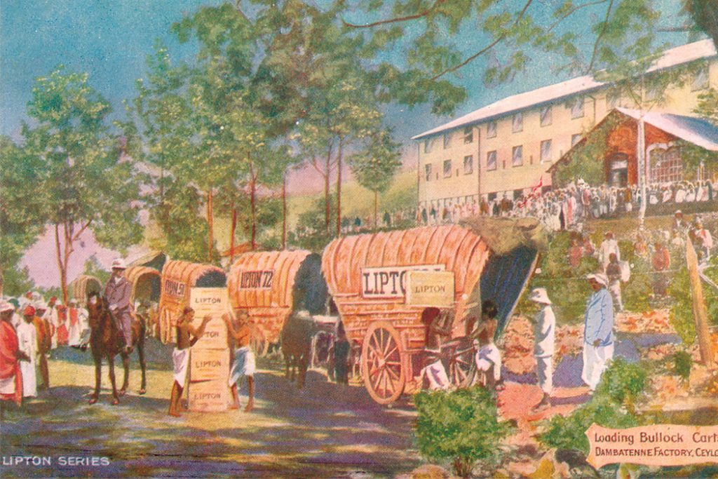 Lipton Tea Postcard