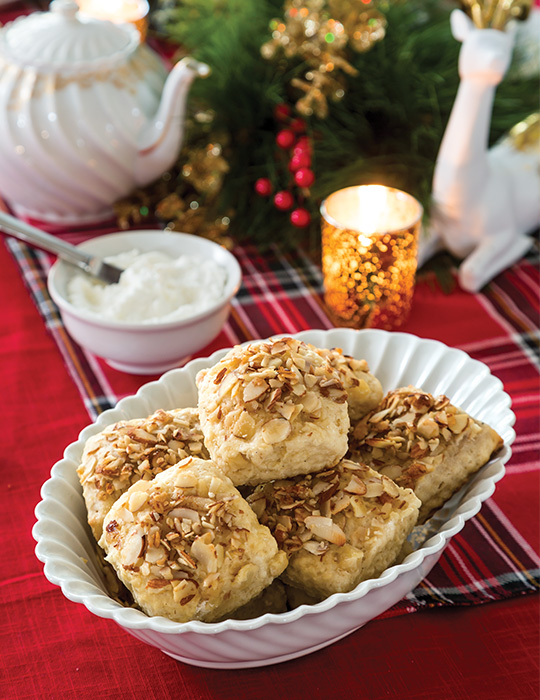 Tea Among the Evergreens