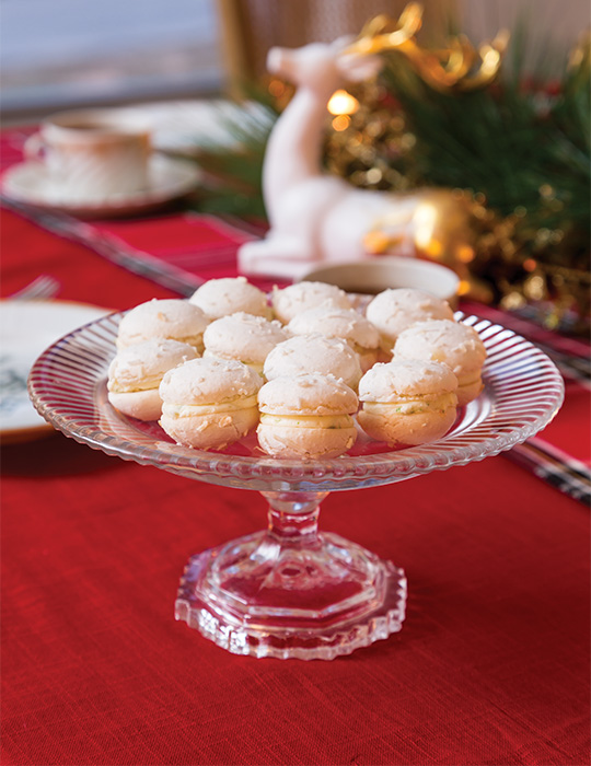 Tea Among the Evergreens