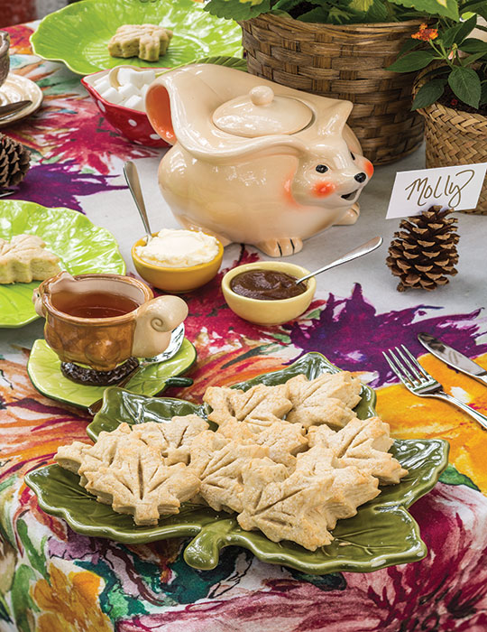 Tea with Forest Friends