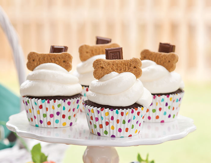 S'mores Cupcakes