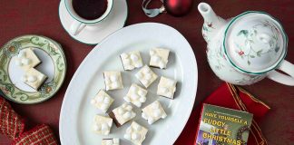 Can You Crack The Case in Nancy Coco’s Have Yourself a Fudgy Little Christmas