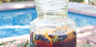 Blueberry Infusion Spritzer