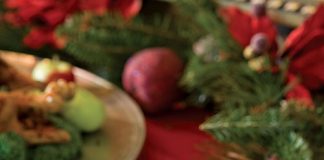 Roasted Brussels Sprouts