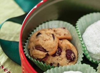 Double Chocolate-Cranberry Cookies