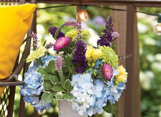 A Honey of a Tea Party