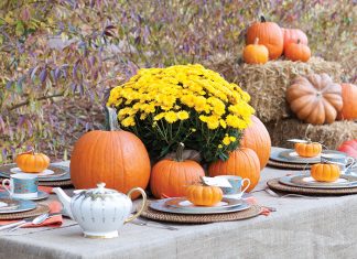 Pumpkin Patch Tea