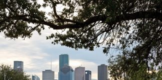 Afternoon Tea in Houston