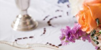 Green Grape–Chicken Salad Sandwiches