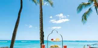 The Tea Experience: Afternoon Tea on Waikiki