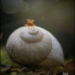 9E620084-4FB8-41E7-A940-18DCEEC8163A