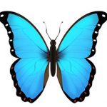 ButterflyEmoji