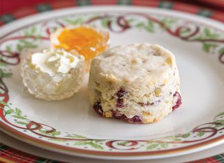 Gluten-free Cranberry, Pistachio & Orange Scone