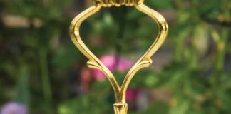 Lemon-White Chocolate Lamingtons