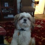 F2662014-7975-4495-AFE3-616A7DE36D97