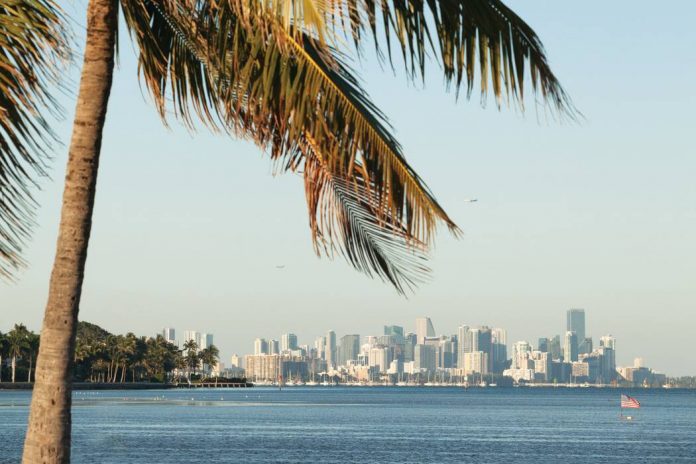 Taking Tea in Southeast Florida