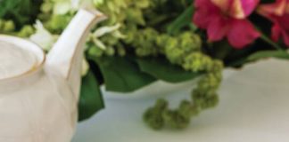 Key Lime Cheesecakes