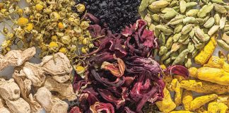 Seven Healthy Botanicals