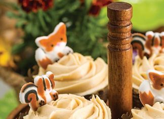 Pumpkin Cupcakes with Molasses Frosting