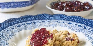 Vegan Cranberry-Pistachio Scones