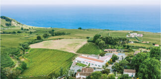 Europe's Oldest Tea Farm