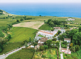 Europe's Oldest Tea Farm