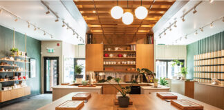 The Camellia Sinensis Experience