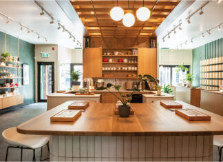 The Camellia Sinensis Experience