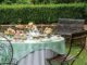 Tea in the Garden
