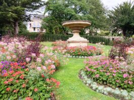 TeaTime in England & Wales 2024 Post