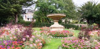 TeaTime in England & Wales 2024 Post