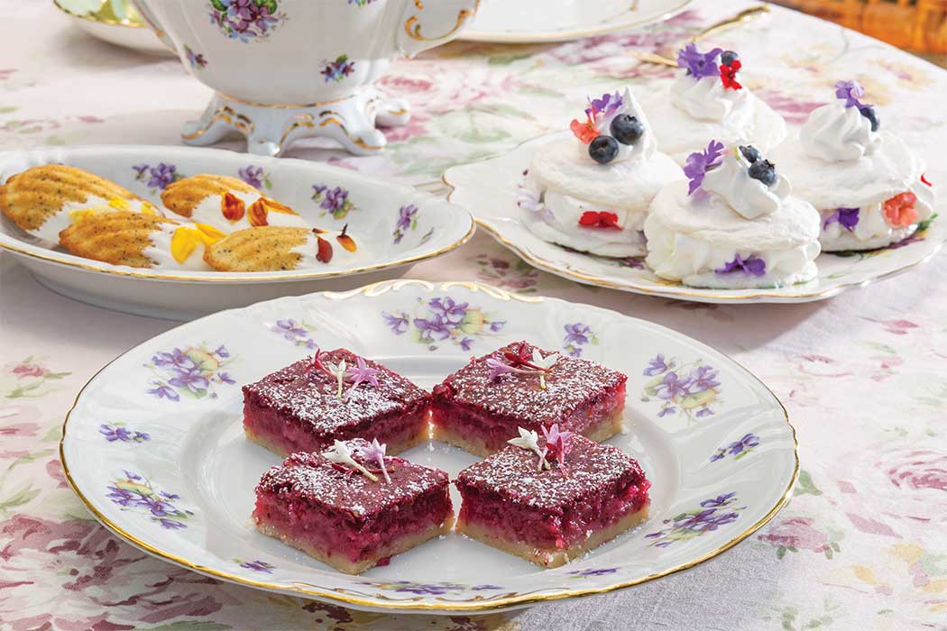 Meyer Lemon–Hibiscus Squares