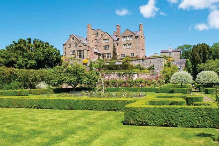 The Perfect Cup: A Wonderland of Tea in Whales