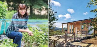 The Tea Maven of Scotland & Beyond