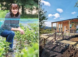 The Tea Maven of Scotland & Beyond