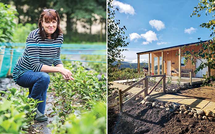 The Tea Maven of Scotland & Beyond