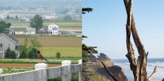 An Unexpected Traveling Companion