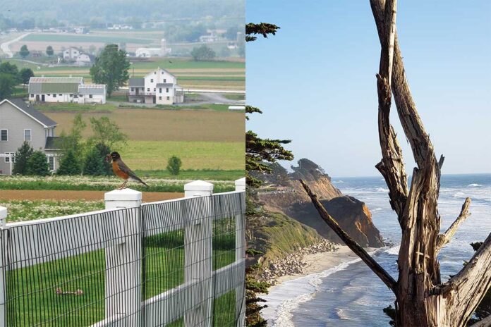 An Unexpected Traveling Companion