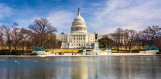 Taking Tea in Washington, DC