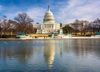 Taking Tea in Washington, DC