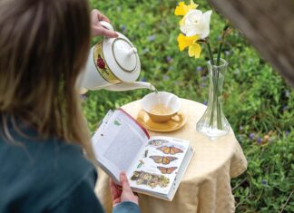 Jenna Kramer, founder of Four Stages Tea, is passionate about saving the monarch butterfly from extinction, one cup of tea at a time.