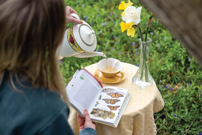 Jenna Kramer, founder of Four Stages Tea, is passionate about saving the monarch butterfly from extinction, one cup of tea at a time.