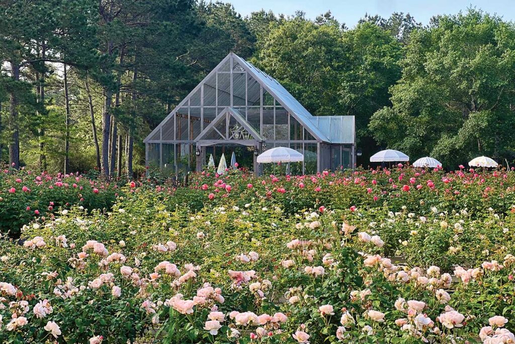 Private events, including afternoon tea, are held in the striking glass house.
