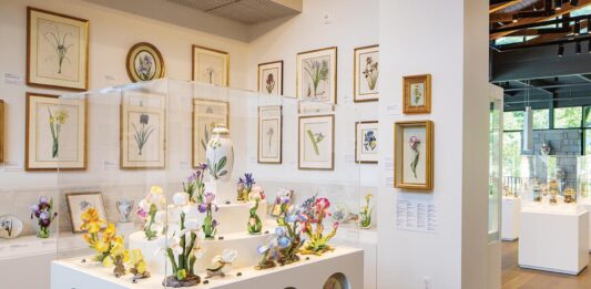 The iris, Deen Day Sanders’s favorite flower, is highlighted in porcelain and other mediums.