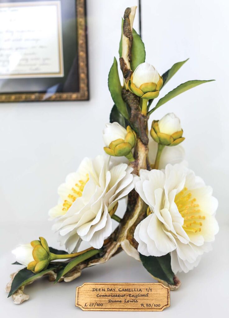 Deen Day Camellia porcelain sculpture by Diane Lewis for Connoisseur of Malvern.
